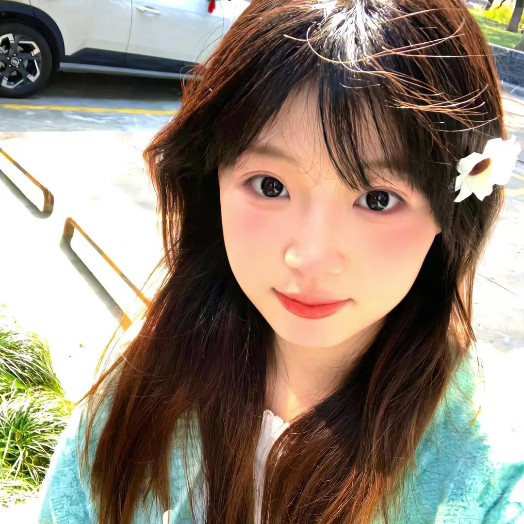 桃花泣血记